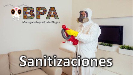 Servicio de Sanitización